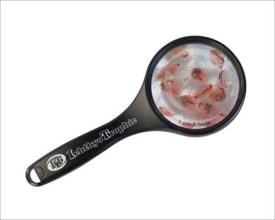 Lebendfutter 45ml