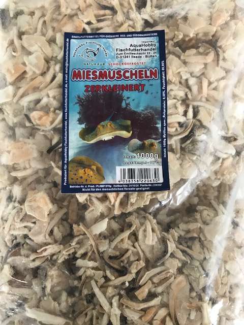 Miesmuscheln Scnittfleisch Frostfutter 100g und 1000g