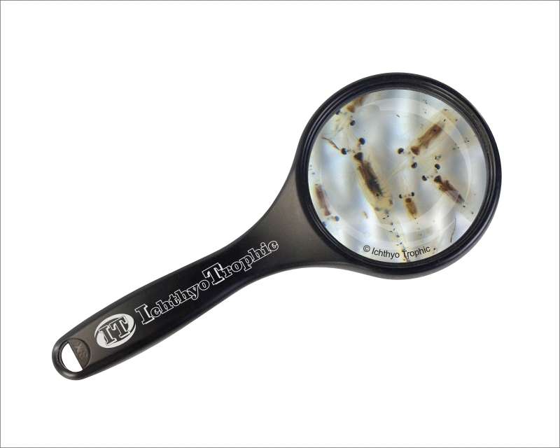 Mysis 90ml Lebendfutter