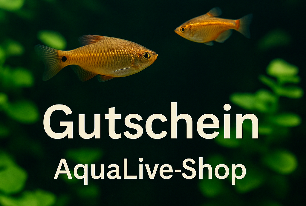 Aqualive-Shop Gutscheine