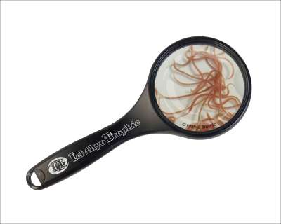 Glanzwürmer 5-25 x 90ml