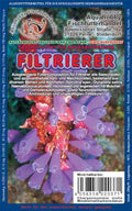 Filtrierer Frostfutter 100 g – Futter für Seescheiden & Korallen