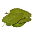 Mulberry leaves, 12 pieces