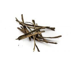 Seemandelbaumrinde / Catappa (klein) ca. 9cm 12 Stück