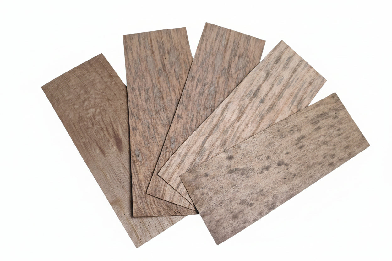 Banenblätter 12 Stück